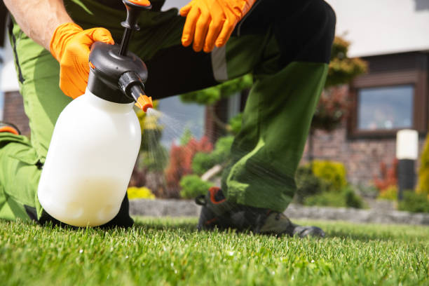 Best Residential Pest Control  in Aurora, CO