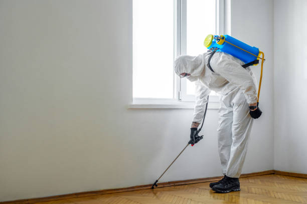 Best Pest Removal Services  in Aurora, CO