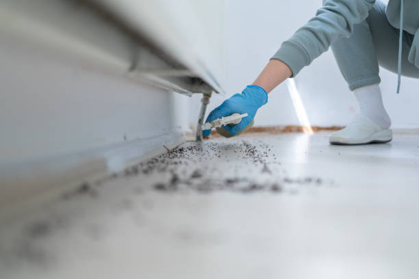 Best Affordable Pest Control Services  in Aurora, CO